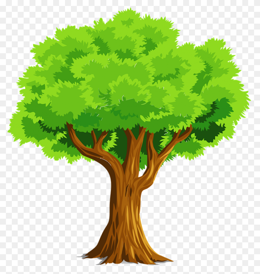 Árbol Clipart. Dibujos Animados De