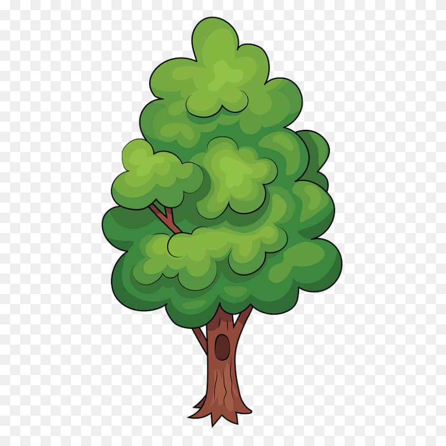Árbol Clipart. Dibujos Animados Descargar - Arbol