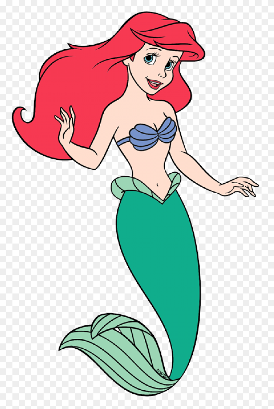 Ariel | The Stuingtion And - Ariel