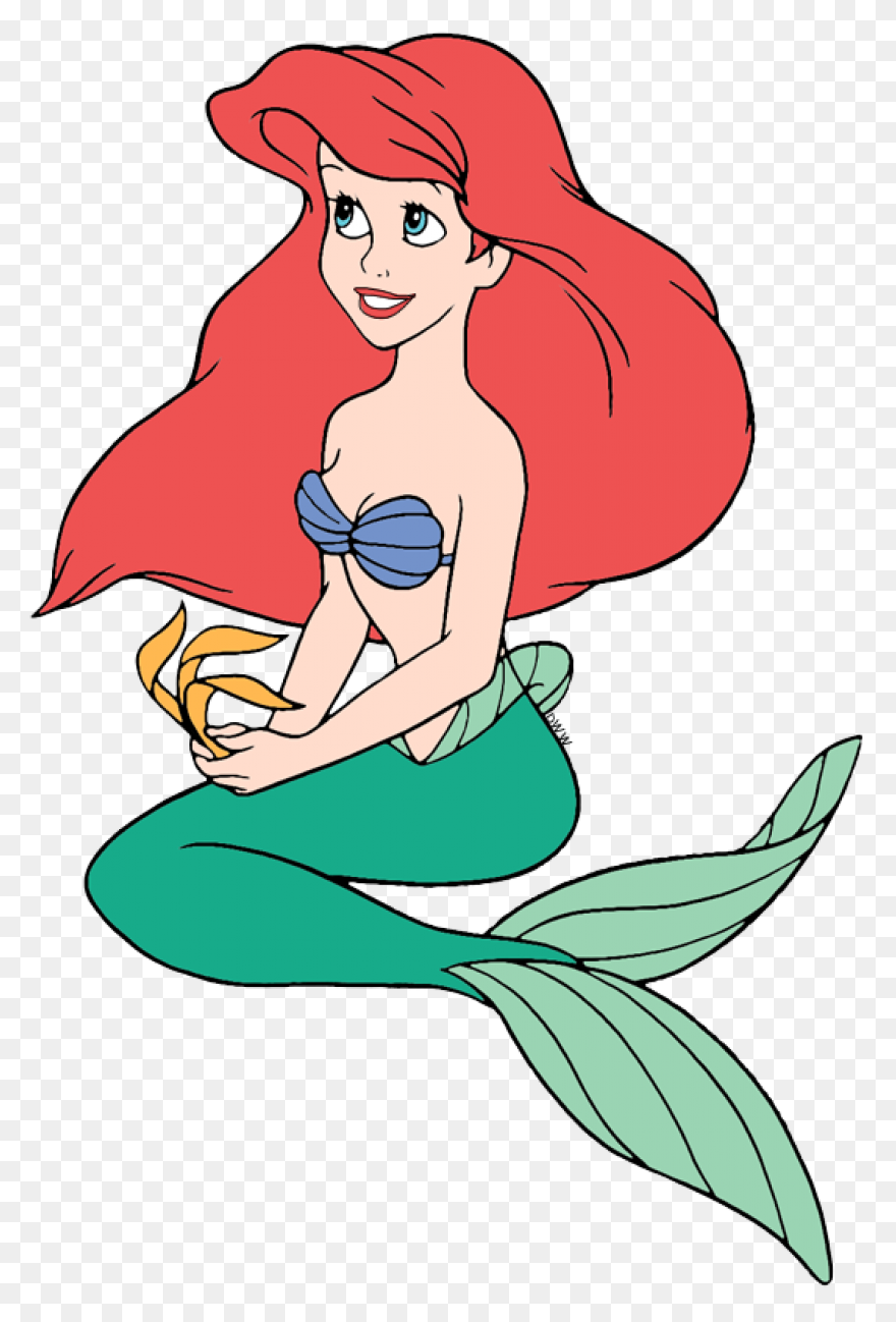 Ariel | The Stuingtion And Hiatt Gr