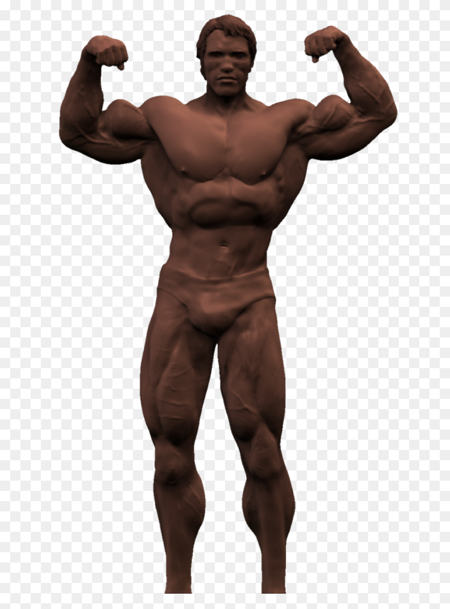 Arnold Schwarzenegger Bodybuilding 