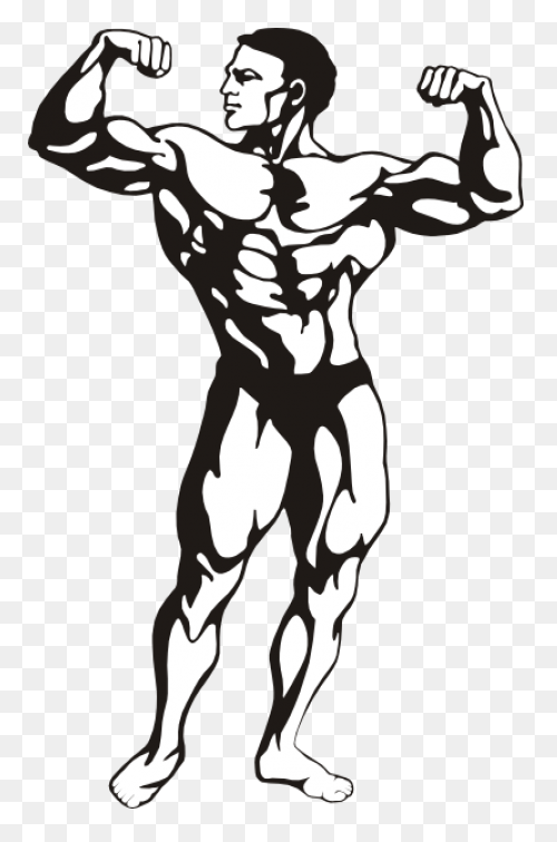 Arnold Schwarzenegger Bodybuilding 