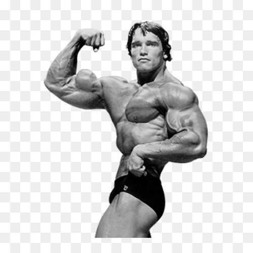 Arnold Schwarzenegger Bodybuilding 