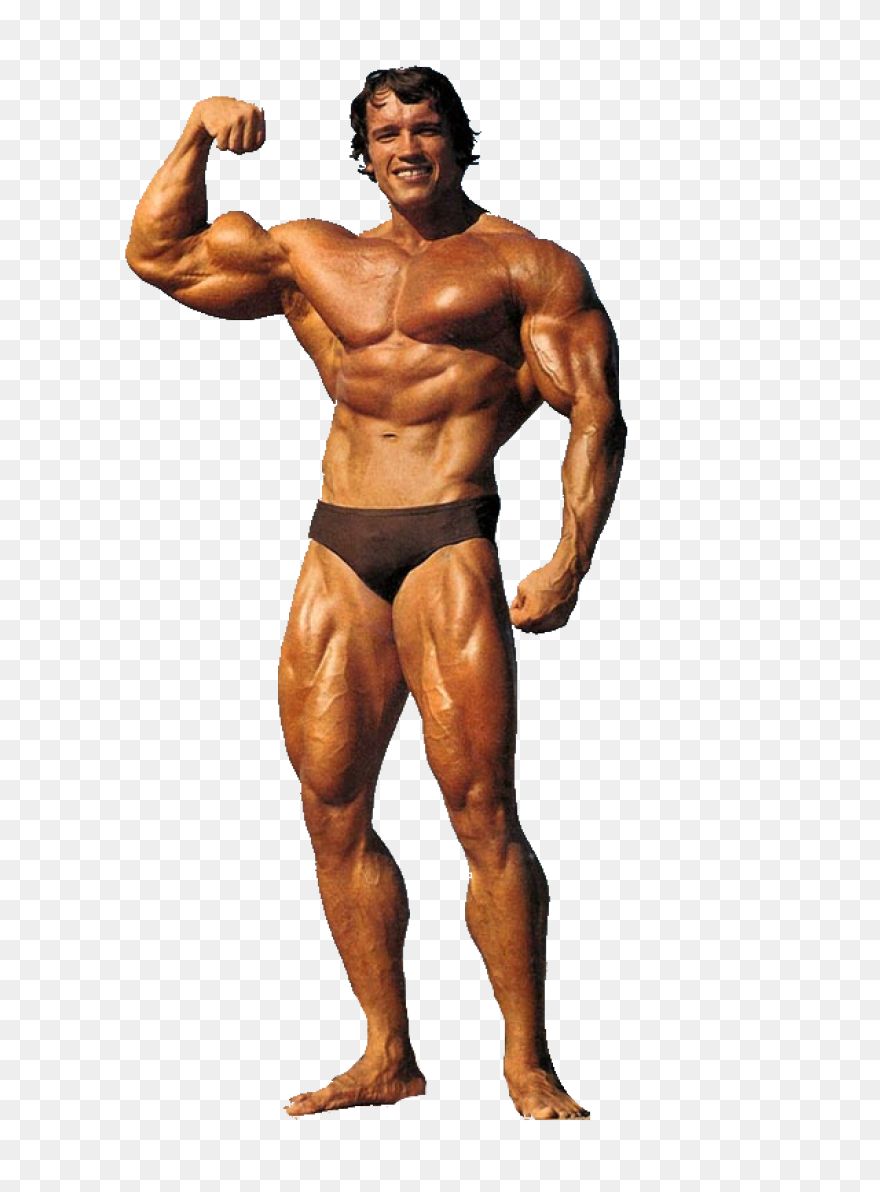 Arnold Schwarzenegger Bodybuilding 