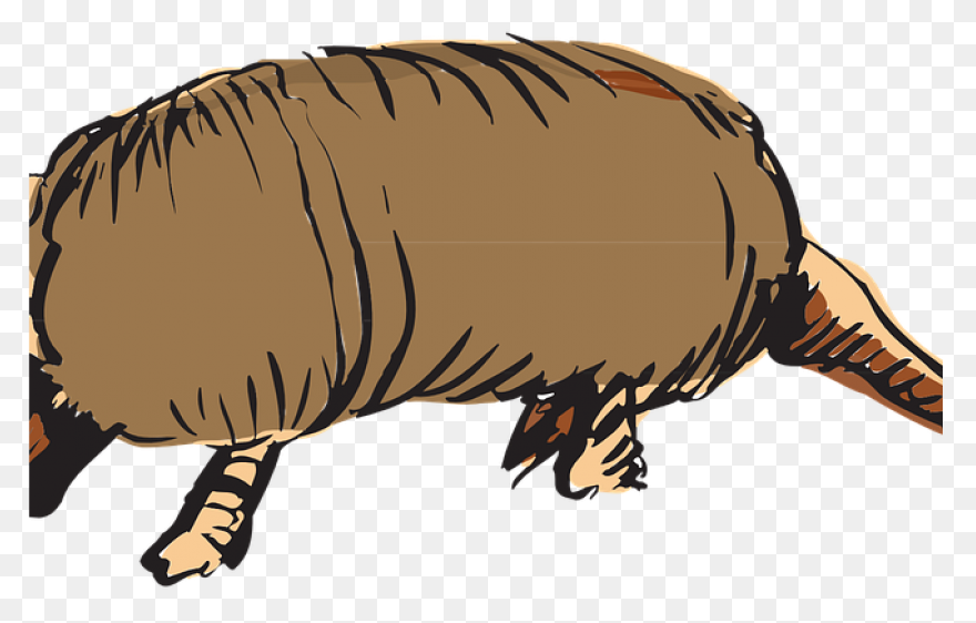 Armadillo Clipart Vector Punxsutawney Phil - Armadillo
