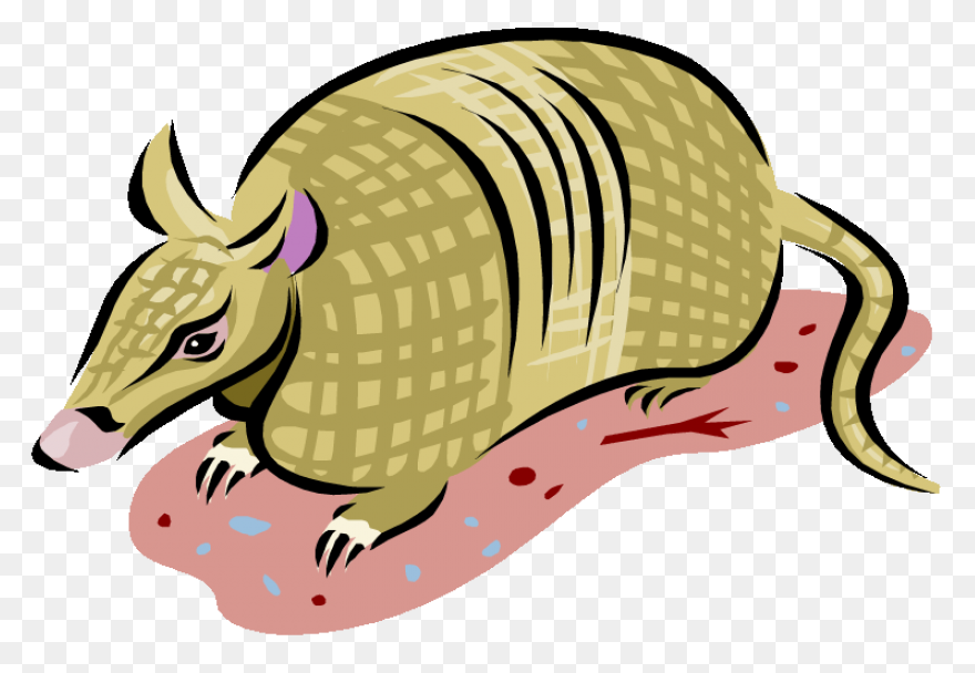 Armadillo Clipart Vector - Punxsuta
