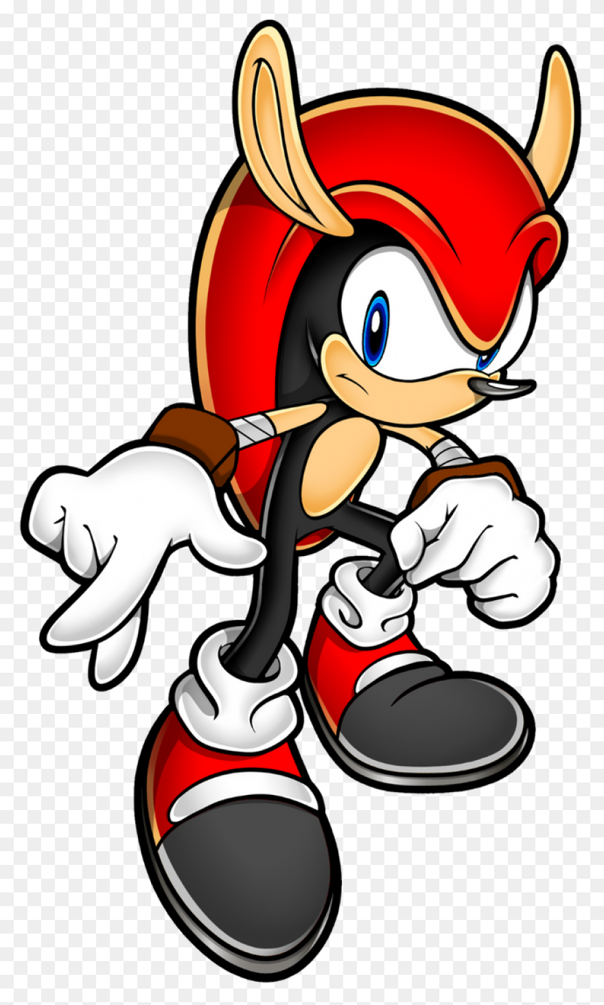 Armadillo Clipart Vector - Punxsuta