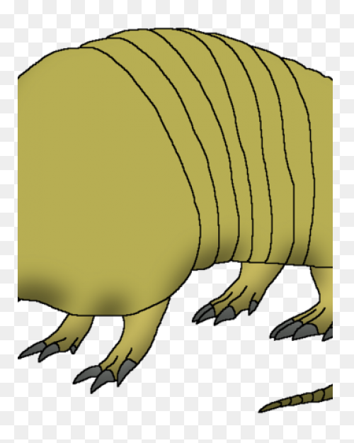 Armadillo Clipart Vector - Punxsuta
