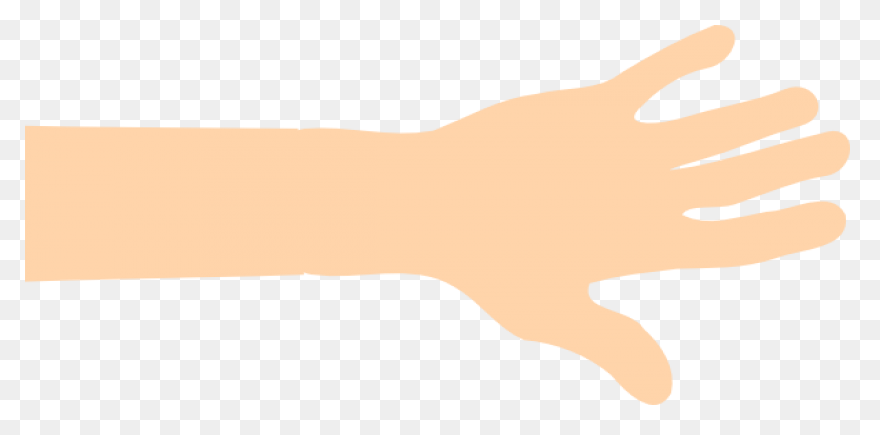 Download Arm Clipart Hand Hi Png - 