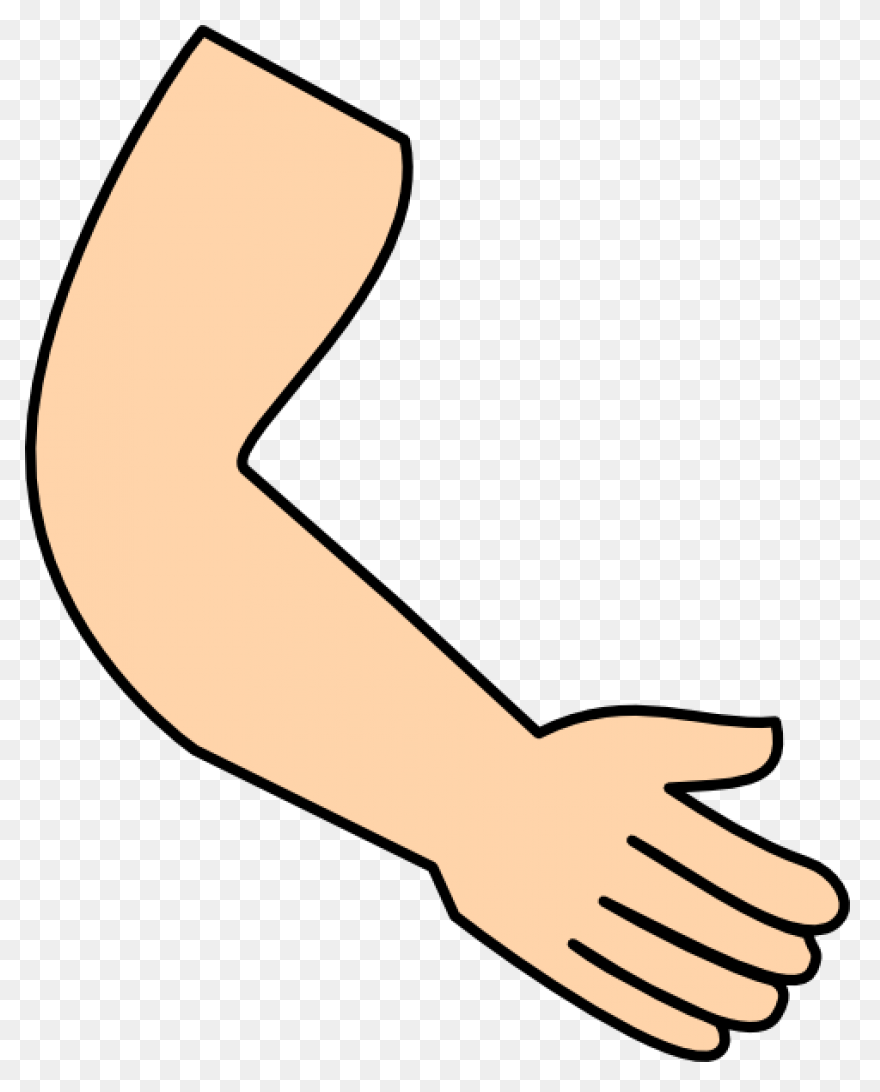 Download Arm Clipart Hand Hi Png - 