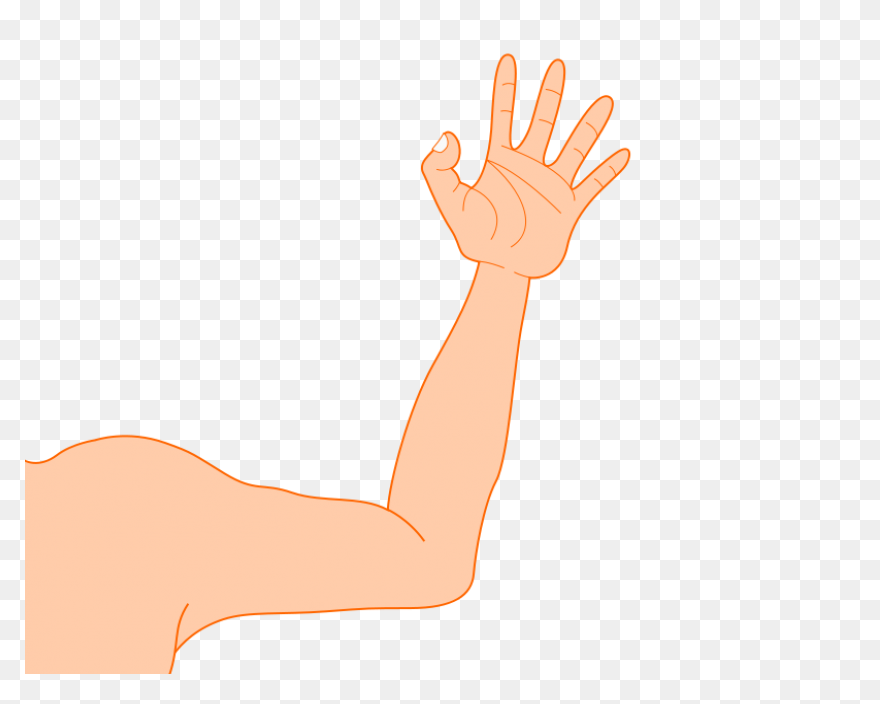 Download Arm Clipart Hand Hi Png - 