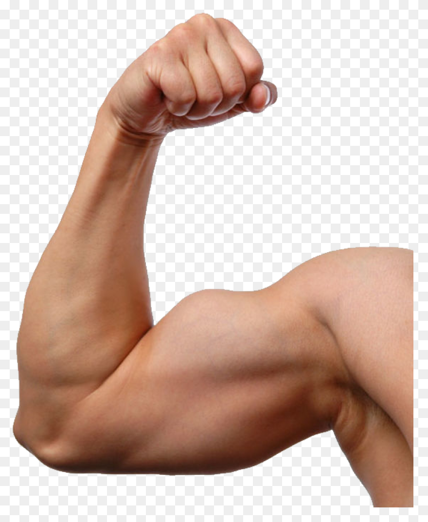 Download Arm Clipart Hand Hi Png - 