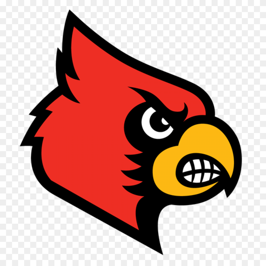 Arizona Cardinals | Heavy Metal Log