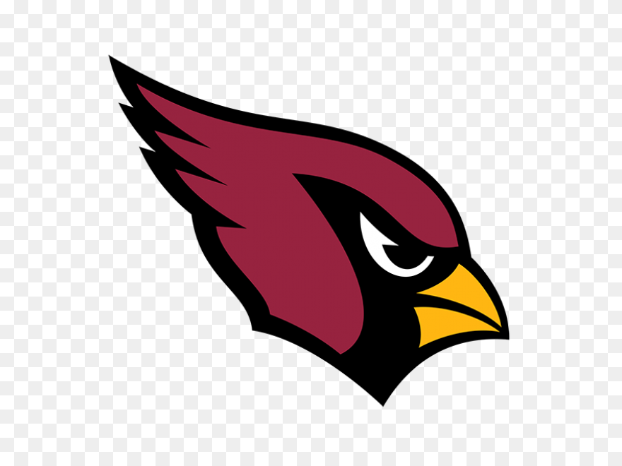 Arizona Cardinals | Heavy Metal Log