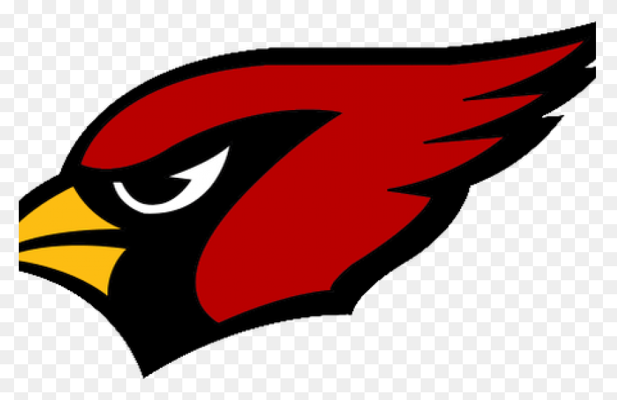 Arizona Cardinals | Heavy Metal Log