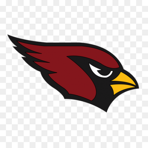 Arizona Cardinals | Heavy Metal Log