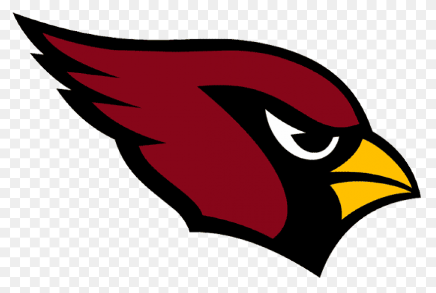 Arizona Cardinals | Heavy Metal Log