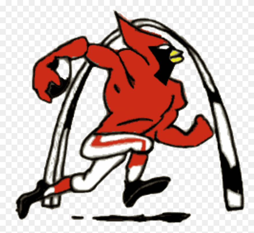 Arizona Cardinals | Heavy Metal Log