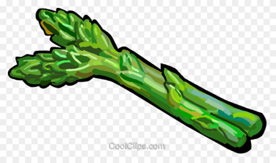 Asparagus Bunch