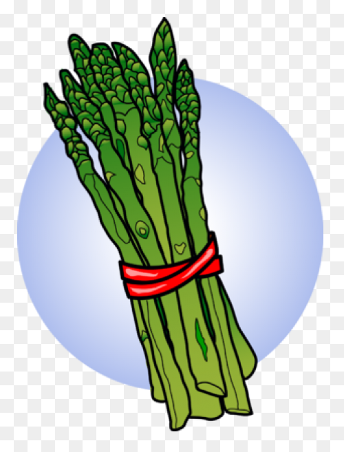 Image: Asparagus | Food Clipart - Asparagus