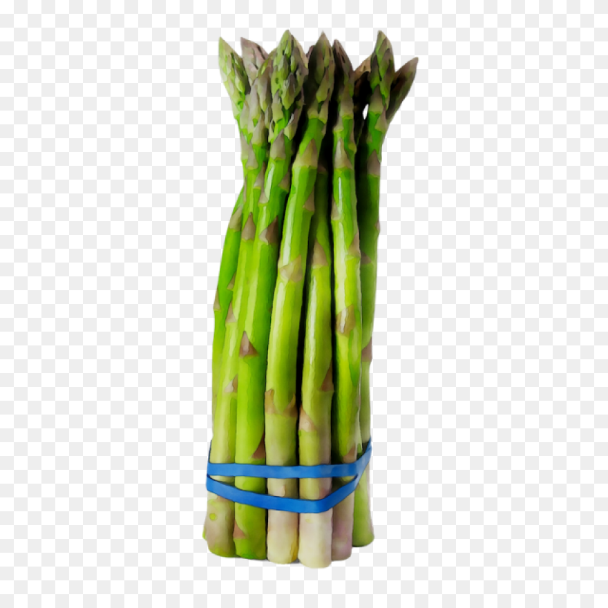 Asparagus Bunch