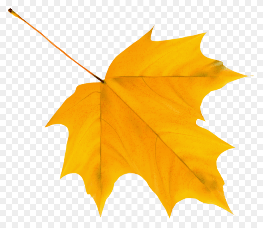 Autumn Leaf As A Graphic - Autumn Leaf