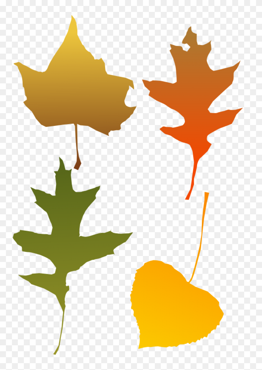 Download Apple Pumpkin And Grape - Autumn Leaf