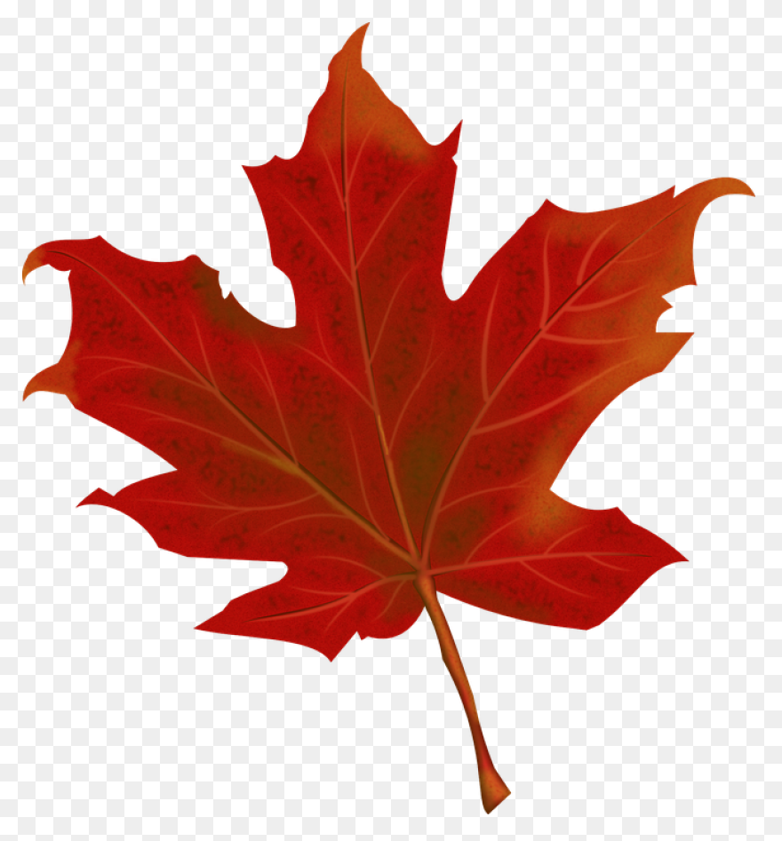 Fall Leaf #2 Clip Art | Clip Art, A