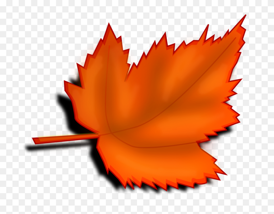 Leaf Autumn | Free Stock - Autumn Leaf
