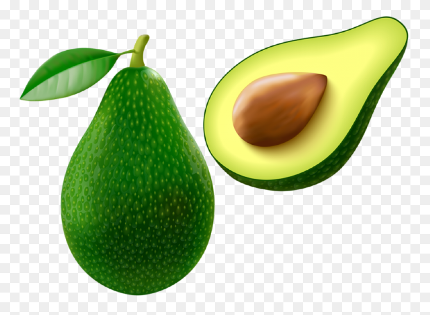 Avocado Clipart Png | ClipartFlare 