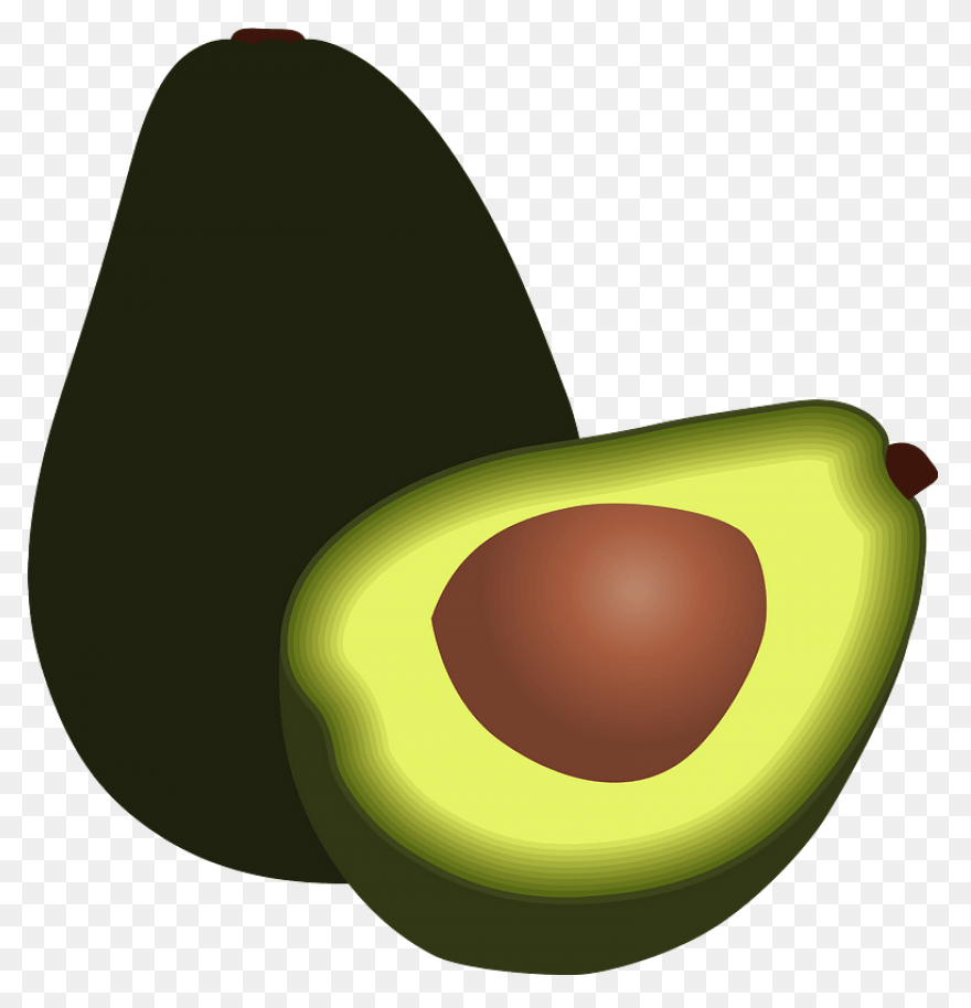 Avocado Clipart Png | ClipartFlare 