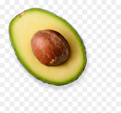 Avocado Clipart Png | ClipartFlare 