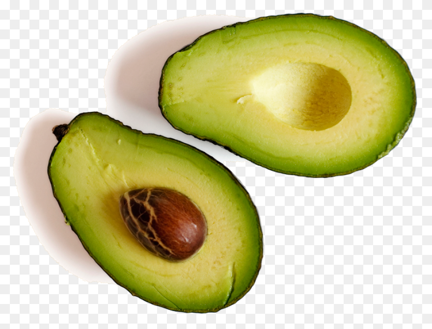 Avocado Clipart Png | ClipartFlare 