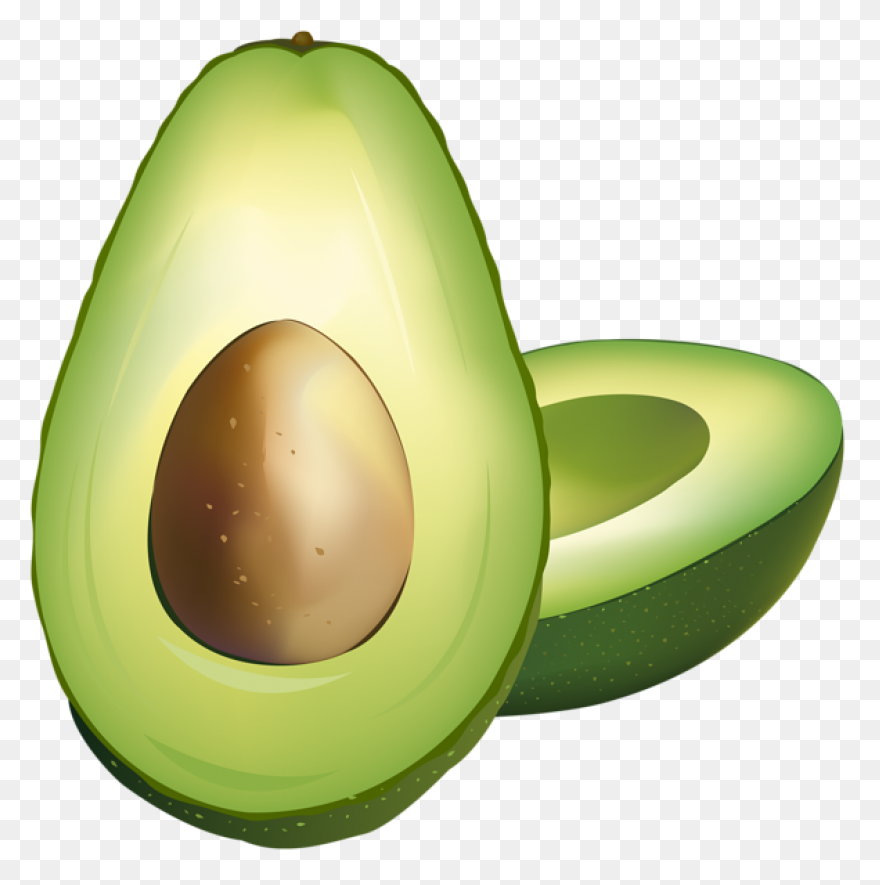 Avocado Clipart Png | ClipartFlare 