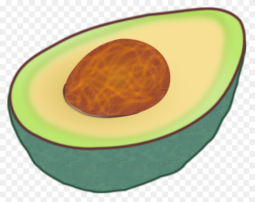Avocado Clipart Png | ClipartFlare 