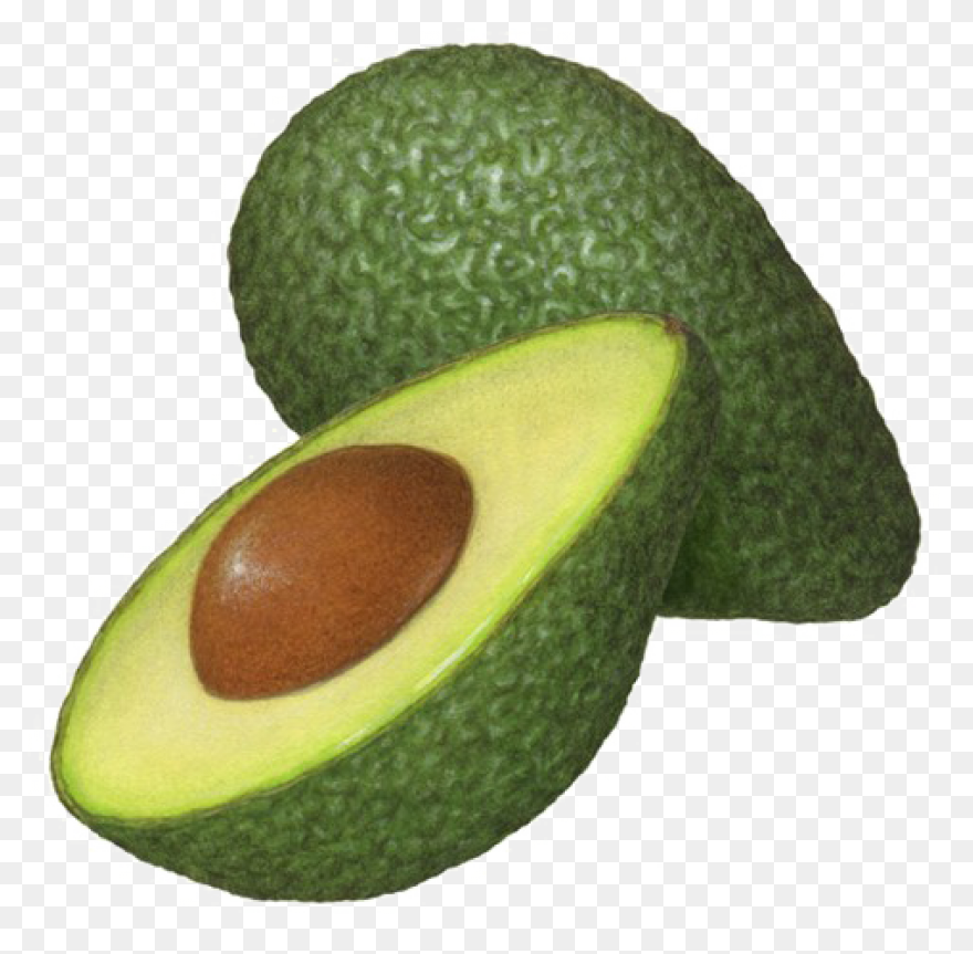 Avocado Clipart Png | ClipartFlare 