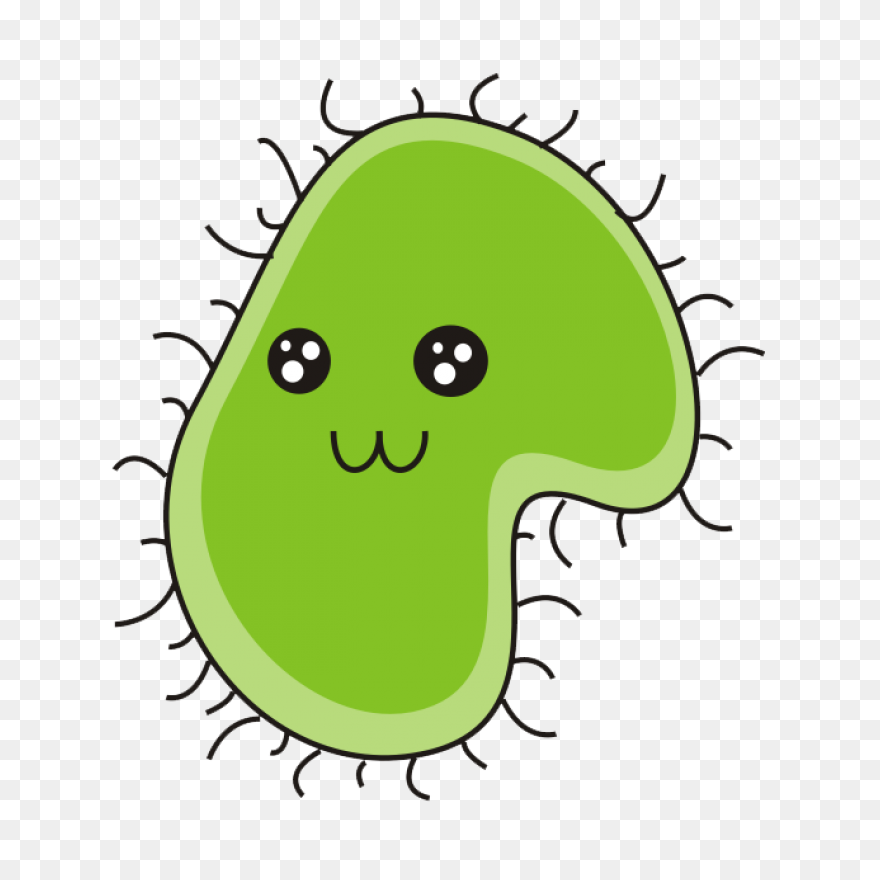 Bacteria Coccus Virus - Free Vector