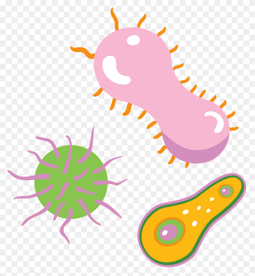 Bacteria Coccus Virus - Free Vector