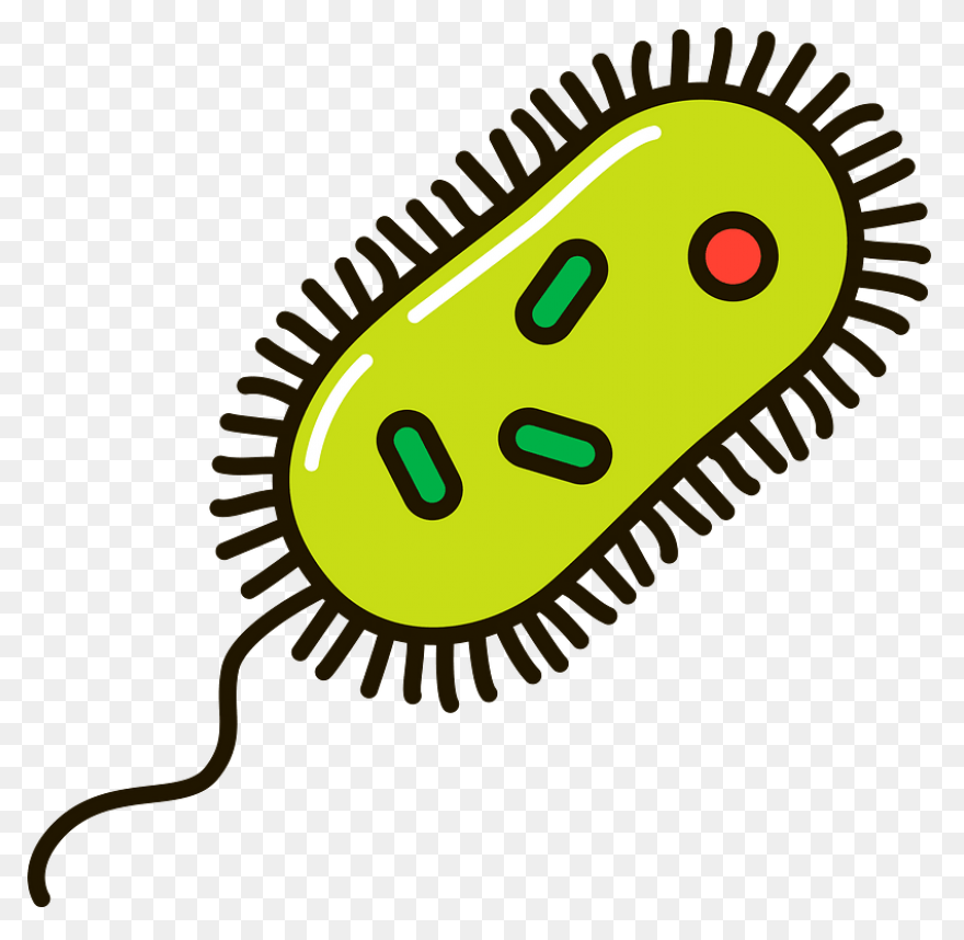 The Bacteria Battle ( Real World ) 