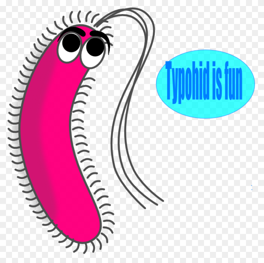 Bacteria Coccus Virus - Free Vector