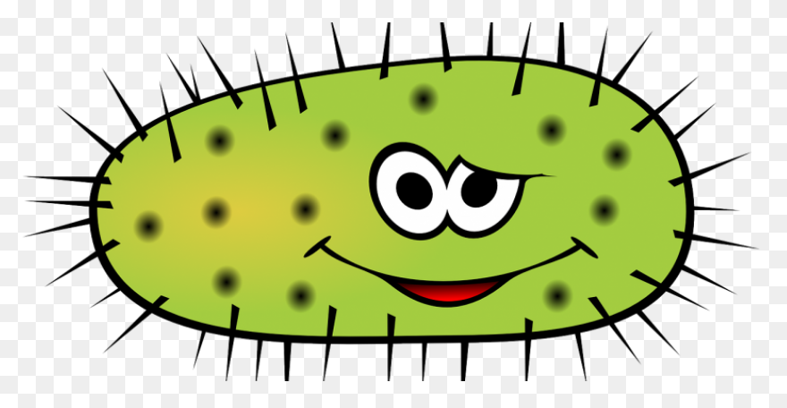 Bacteria Coccus Virus - Free Vector