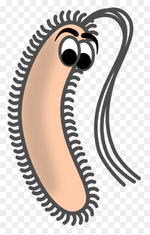 Funny Bacteria Clipart At .com - Bacteria