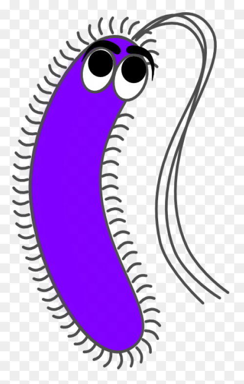 Bacteria Coccus Virus - Free Vector