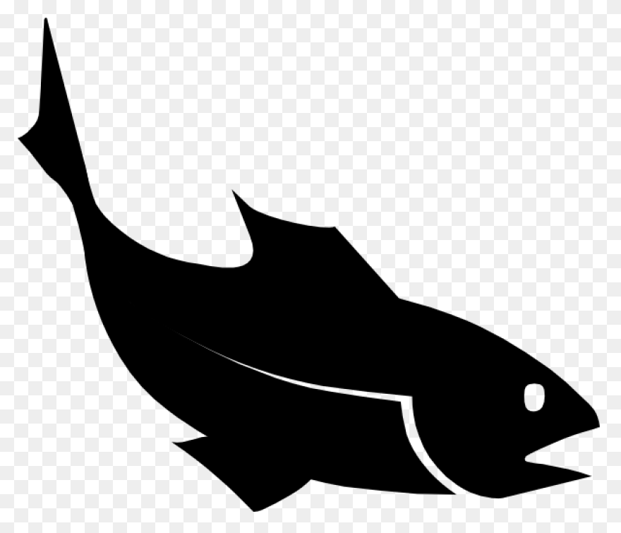 Bass Fish Coloring Pages Fish Bass 