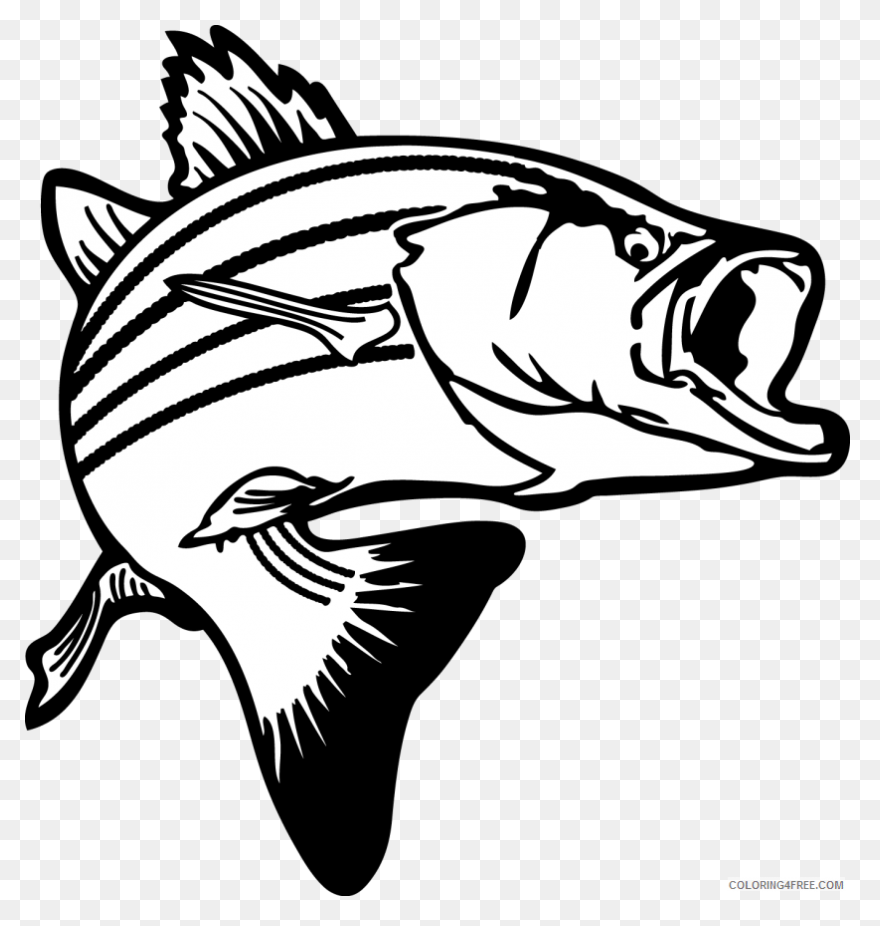 Bass Fish Coloring Pages Fish - Bass Fish