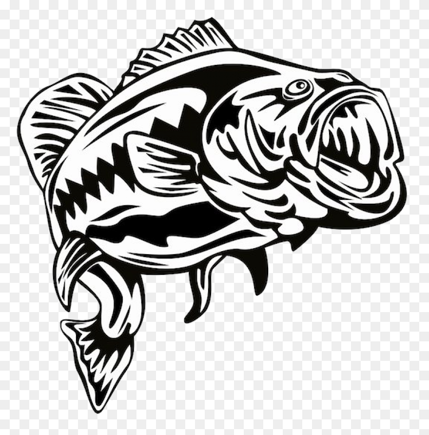 Bass Fish Coloring Pages Fish Bass 