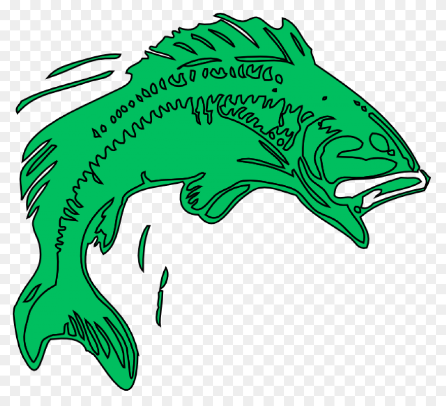 Bass Fish Coloring Pages Fish Bass 