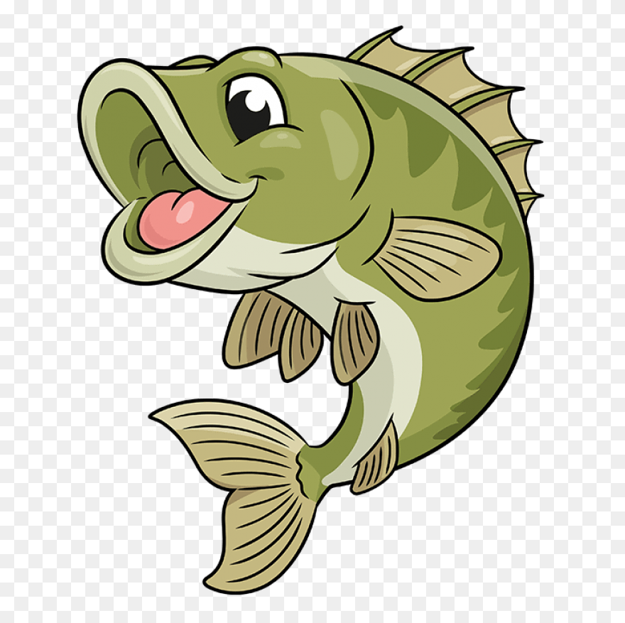 Bass Fish Coloring Pages Fish Bass 