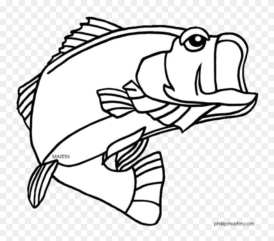 Bass Fish Coloring Pages Fish Bass 