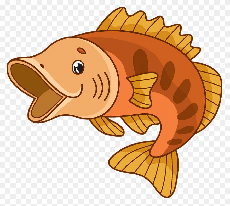Bass Fish Coloring Pages Fish Bass 